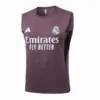 Real Madrid Camiseta 2025 2026 Púrpura - Camiseta Real Madrid | escamisetasfutbol