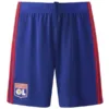 Lyon Pantalones 2026 2027 Casa Azul - Pantalón Lyon | escamisetasfutbol