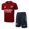 Arsenal Conjunto 2025 2026 Gris - Arsenal Barata | escamisetasfutbol