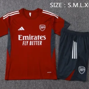 Arsenal Conjunto 2025 2026 Gris - Arsenal Barata | escamisetasfutbol