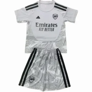 Arsenal Niños Conjunto 2026 2027 Portero Gris - Equipacion Arsenal Niños | escamisetasfutbol