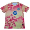 FC Barcelona Camiseta 2025 2026 Especial Roja - Camiseta Barcelona | escamisetasfutbol