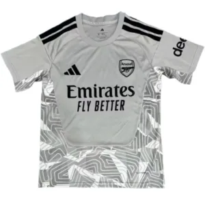 Arsenal Camiseta 2026 2027 Portero Gris - Camiseta Arsenal | escamisetasfutbol