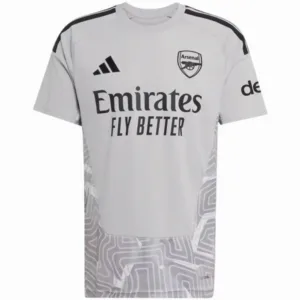 Arsenal Camiseta 2026 2027 Portero Gris - Camiseta Arsenal | escamisetasfutbol