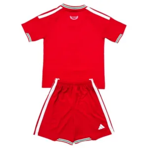 Gales Conjunto 2026 Casa Rojo - Gales Barata | escamisetasfutbol