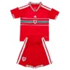 Gales Conjunto 2026 Casa Rojo - Gales Barata | escamisetasfutbol