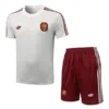 España Conjunto 2026 Amarillo - España Barata | escamisetasfutbol