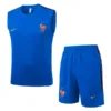 Francia Conjunto 2026 Azul - Francia Barata | escamisetasfutbol