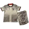 Inglaterra Niños Conjunto 2026 Especial Gris - Inglaterra Niños Barata | escamisetasfutbol