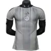 Argelia Camiseta Edición Jugadores 2026 Especial Gris - Camiseta Argelia | escamisetasfutbol