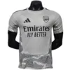 Arsenal Camiseta Edición Jugadores 2026 2027 Portero Gris - Camiseta Arsenal | escamisetasfutbol