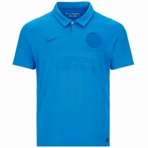 Brighton & Hove Albion Camiseta 2026 2027 Especial Azul - Camiseta Brighton & Hove Albion | escamisetasfutbol