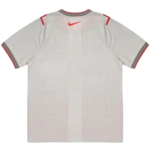 Inglaterra Camiseta 2026 Especial Gris - Camiseta Inglaterra | escamisetasfutbol
