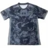 Inglaterra Camiseta 2026 Especial Gris - Camiseta Inglaterra | escamisetasfutbol
